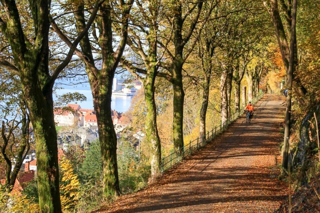 Appartement Dinbnb I 300m To Bryggen & Floien I Renovated 2023 Bergen